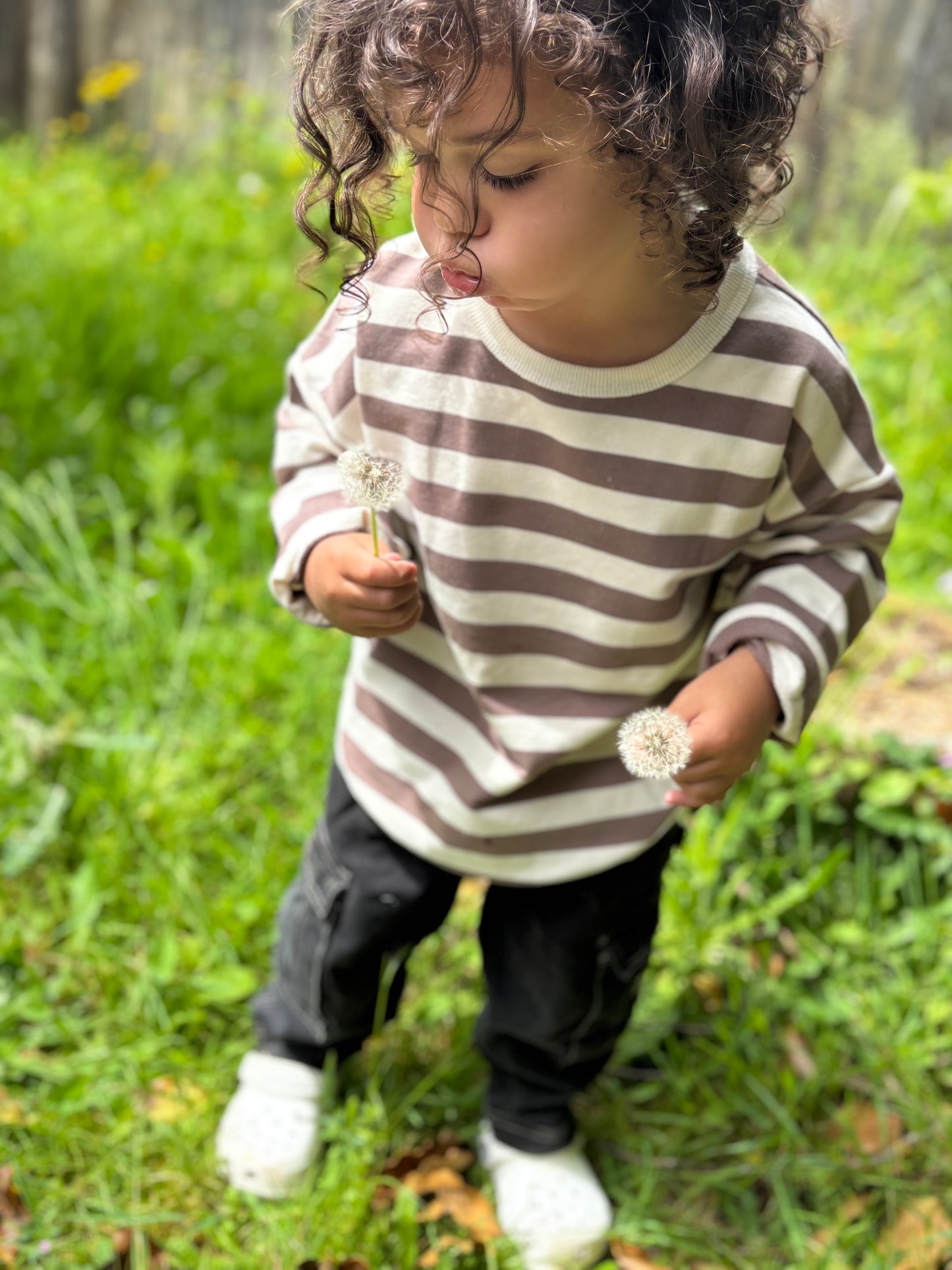 Latte Stripe Pullover