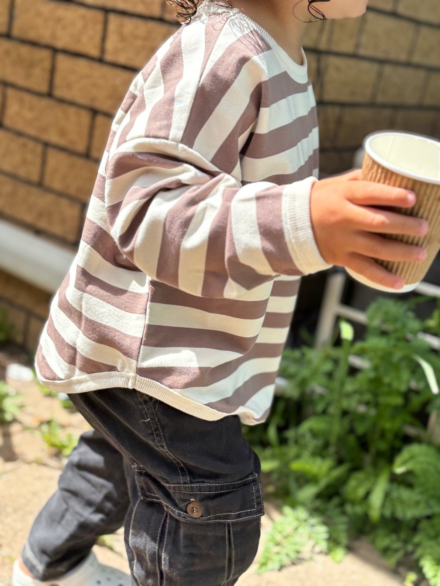 Latte Stripe Pullover