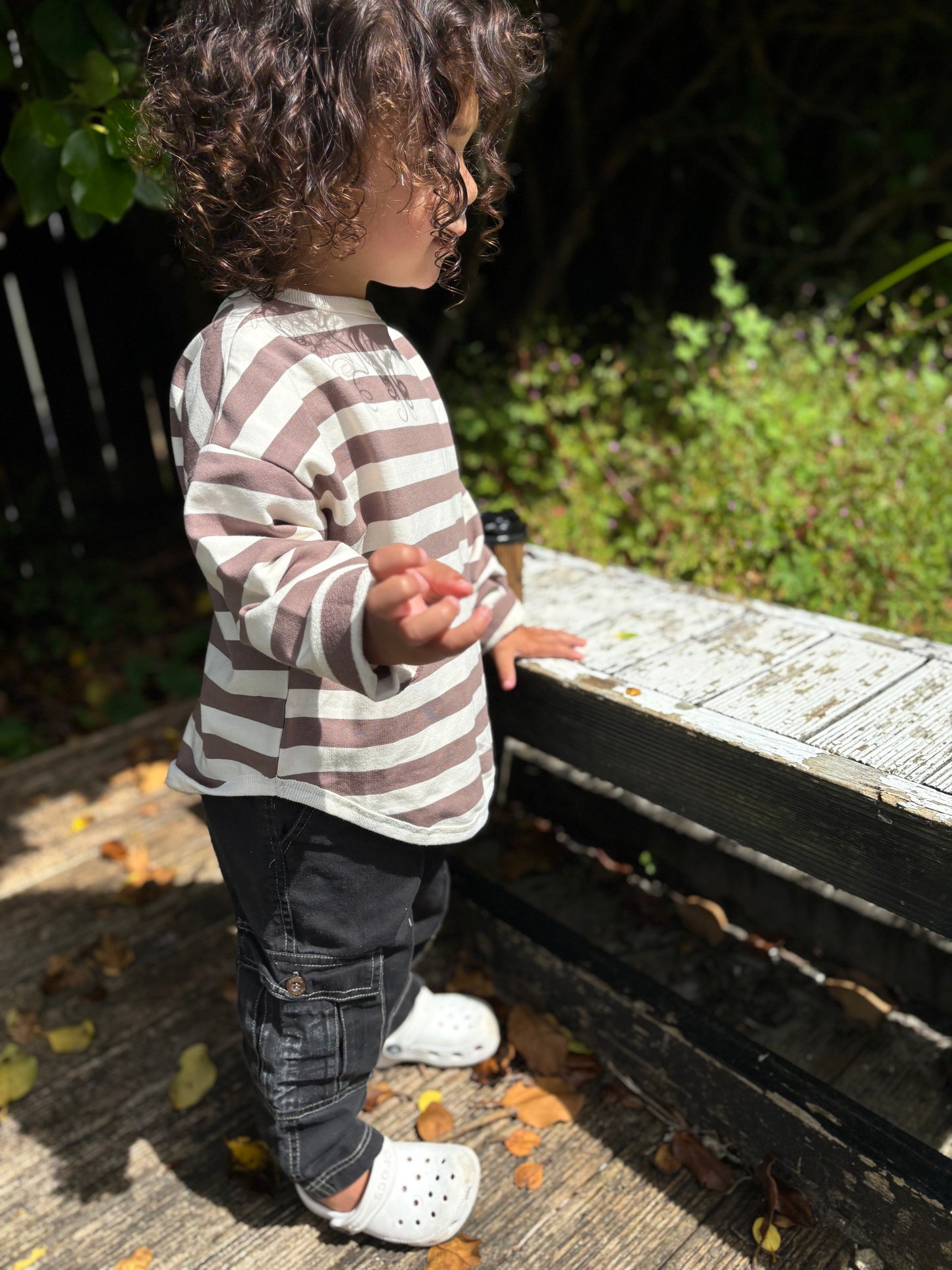 Latte Stripe Pullover